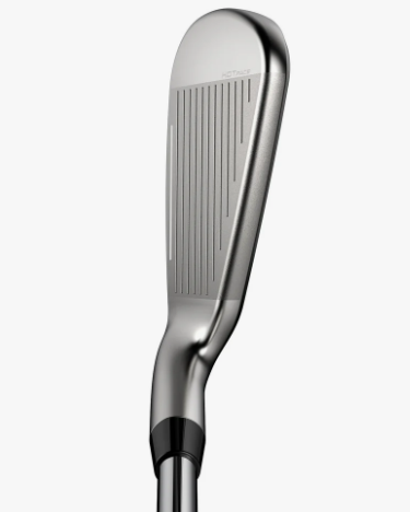 Cobra DS-ADAPT Irons